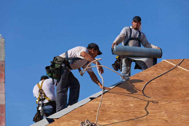 Best Roof Gutter Cleaning  in Washburn, WI